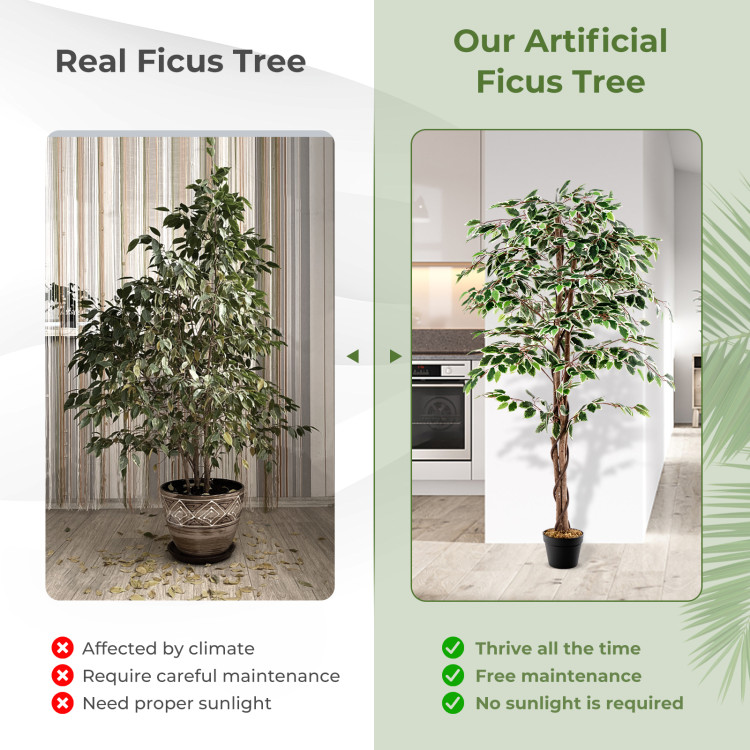 Artificial Ficus Tree Tall Faux Indoor Plant with 1008 Leaves Nursery Pot and Dried Moss - Image 3