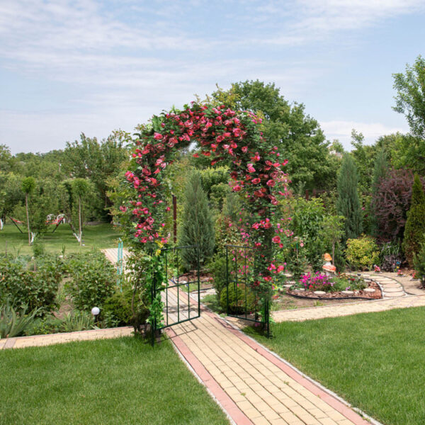 Garden Arch Arbor Trellis with Gate Plant Stand Archway - Image 8